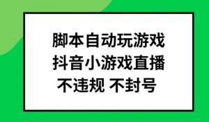脚本自动玩游戏，抖音小游戏直播，不违规不封号可批量做【揭秘】-第一资源库