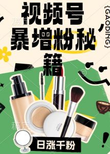 视频号涨粉方法，暴力起号，一天涨粉1000+，当天开橱窗【揭秘】-第一资源库