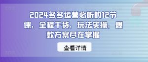 2024多多运营必听的12节课，全程干货，玩法实操，爆款方案尽在掌握-第一资源库