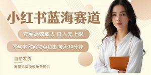 小红书蓝海赛道,圈中高端职场人,月入无上限,可矩阵,内含私域实操教程!-第一资源库