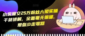 小说推文25万粉丝大佬实操干货讲解,全面毫无保留,帮你少走弯路-第一资源库