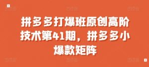 拼多多打爆班原创高阶技术第41期,拼多多小爆款矩阵-第一资源库