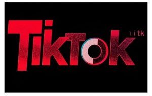 TikTok ads投流秘籍,涵盖tiktok整体投放思路,教你搭建测试计划-第一资源库