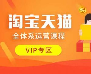 淘宝天猫全体系运营课程：店铺全系运营、动销玩法、付费推广、流量提升、擦边球玩法等等-第一资源库