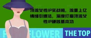 顶流女性IP实战班，流量上亿情绪引爆法，深度打磨顶流女性IP硬核基本功-第一资源库