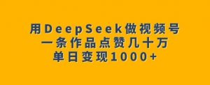 用DeepSeek做视频号,一条作品点赞几十万,单日变现1k-第一资源库