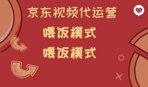 京东短视频代运营，喂饭模式，小白轻松上手【揭秘】-第一资源库