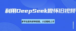 利用DeepSeek做怀旧视频，流量号多渠道变现能力强-第一资源库