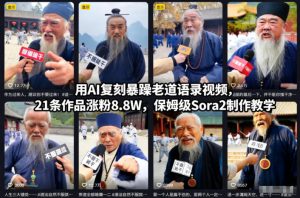 用AI复刻暴躁老道语录视频,21条作品涨粉8.8W,保姆级Sora2制作教学-第一资源库
